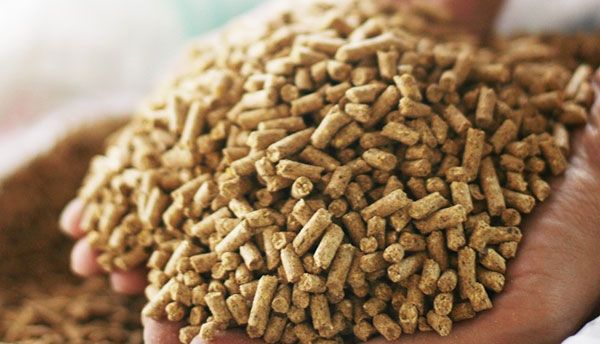 Piensos para ganadería — Abonos y Cereales Vallecillo